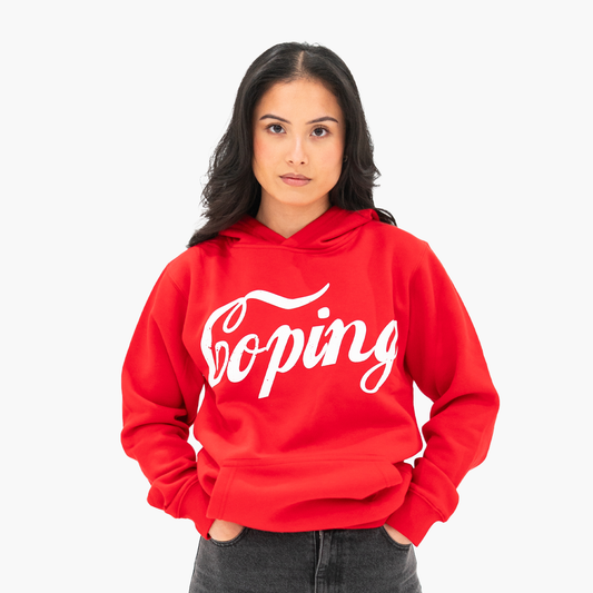 Coping Pullover Hoodie